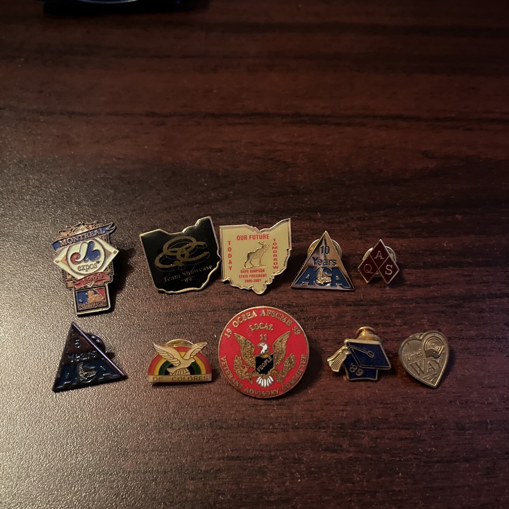 Lot Of 10 Random Mixed Lapel Hat Pins